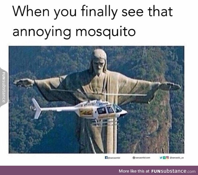 That annoying mosquito