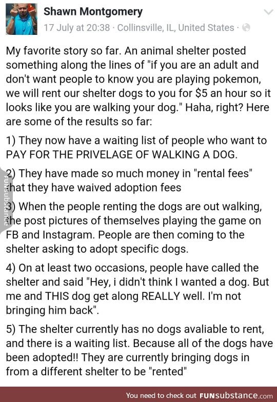 shelter profits off of pokemon go