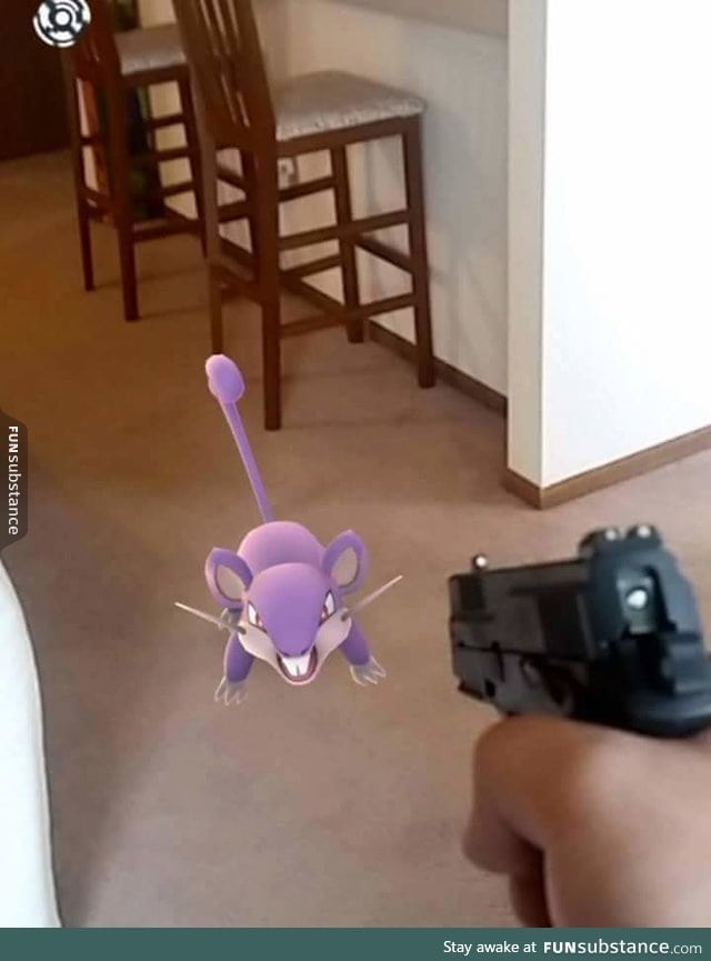 When you get sick of finding rattatas.