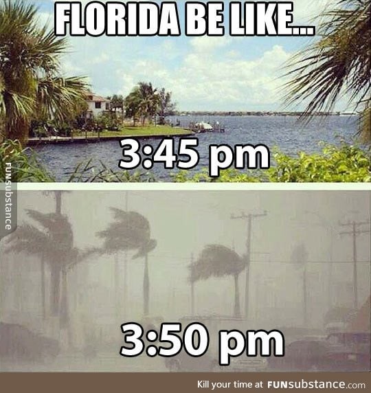 Weather in florida