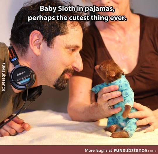 Tiny sloth in pajamas