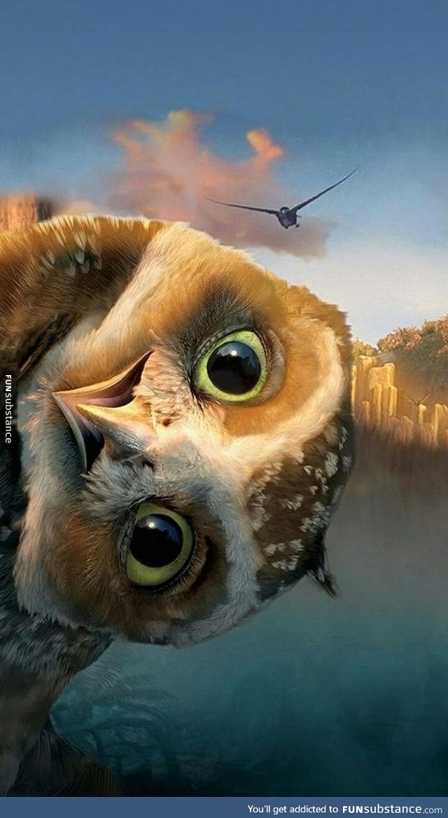 Any one else love owls