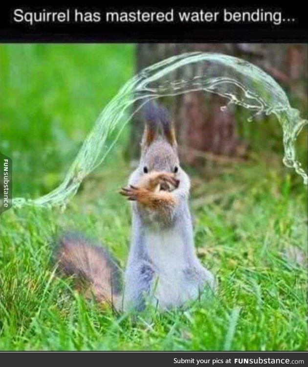 aqua squirrel