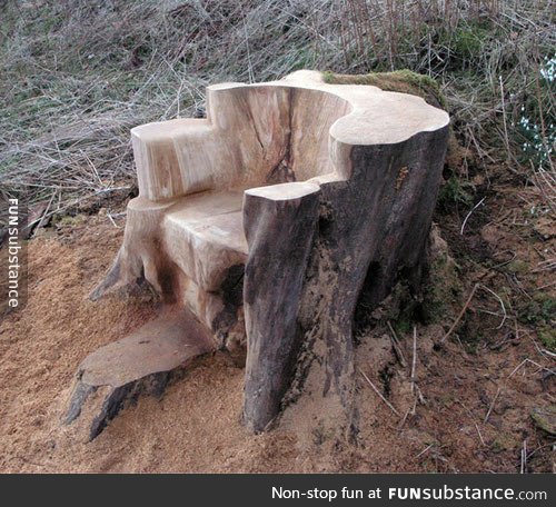 Carved from an old tree stump