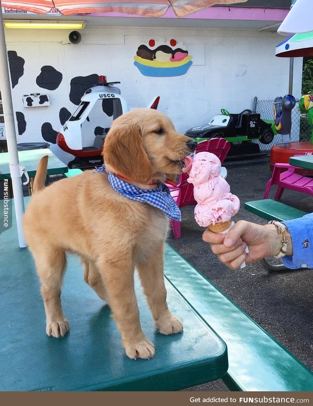 Well-behaved pupper gets a treat :)