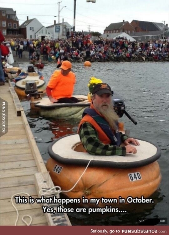 Perfect guy for a pumpkin boat race