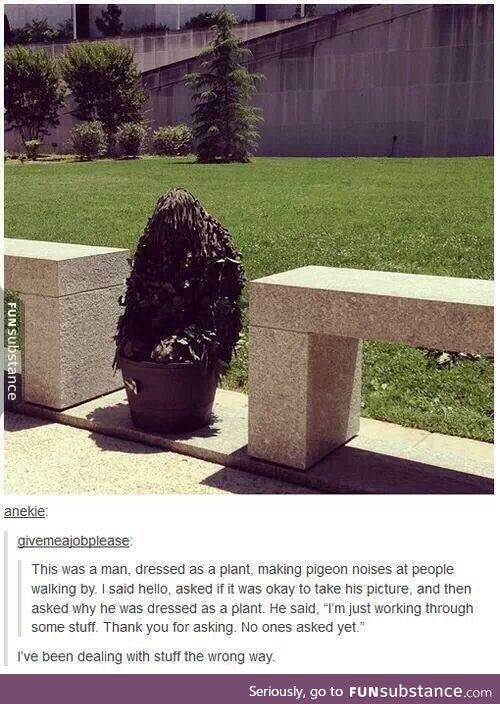 The Plant Man