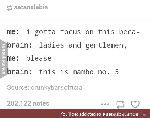 Mambo no 5 sounds like a makeup brand..