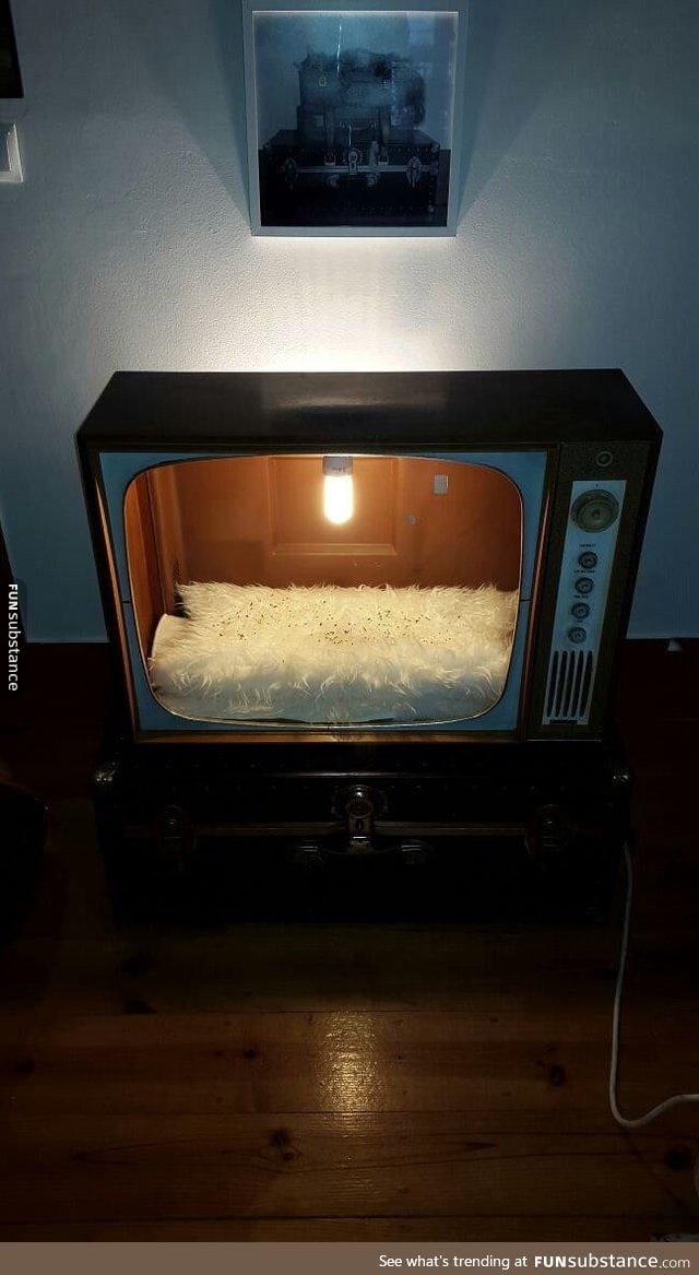 A cat bed made from an old TV