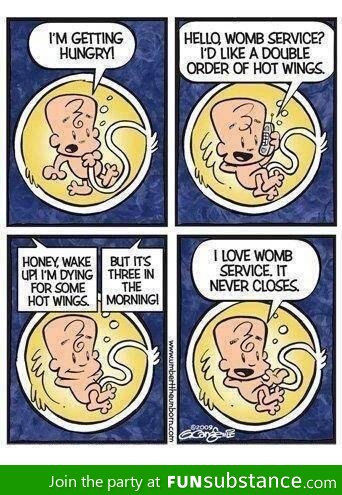 Womb service