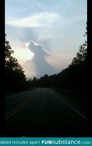 All dogs do go to heaven