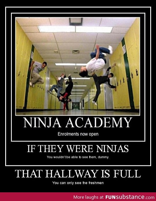 Ninja academy