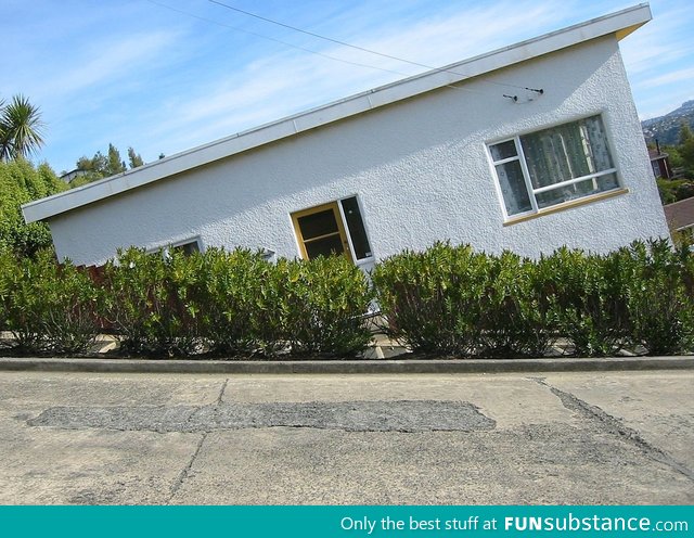 Baldwin St, New Zealand (steepest street in the world)