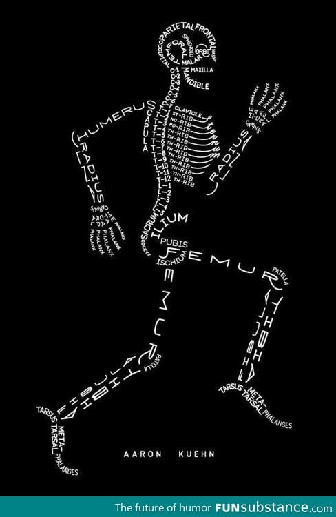 Human bones