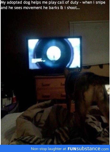 My adopted dog helps me call of duty