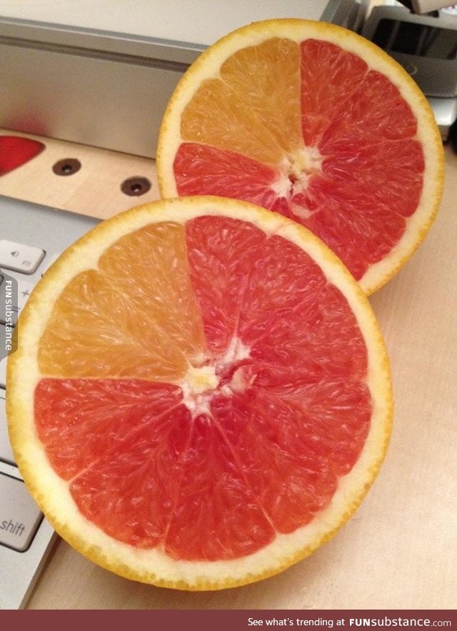 "What time is it?" "Oh, about a quarter til grapefruit."