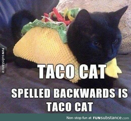 Taco cat is always Taco cat