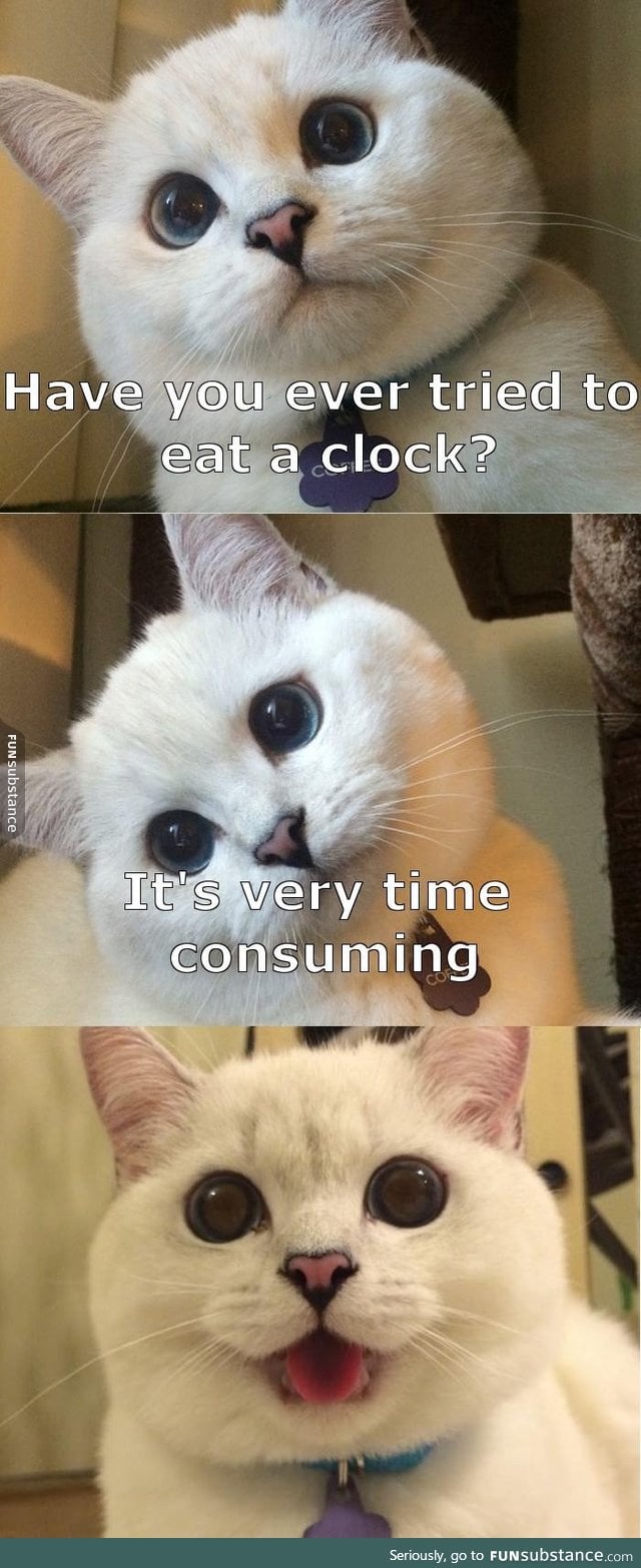 Time consuming *act* meow