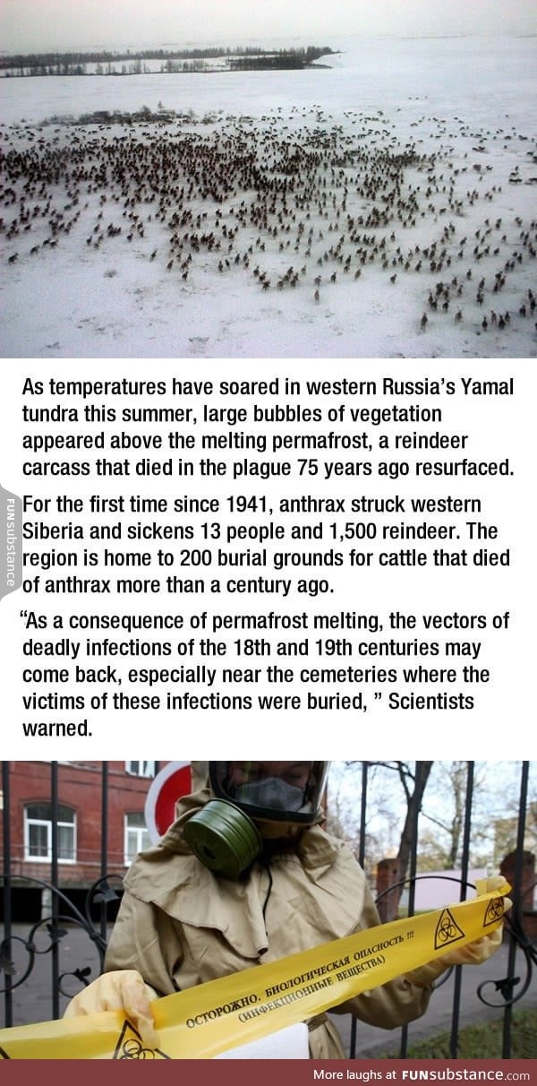Siberia is dealing with an Anthrax outbreak because frozen life forms are thawing