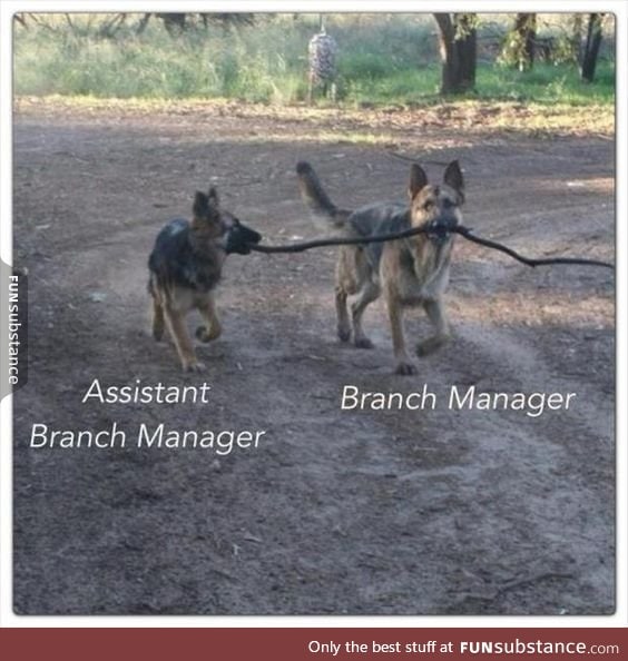 *Assistant TO the Branch Manager