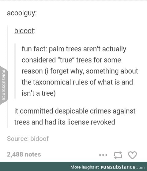 Palm trees are sinful