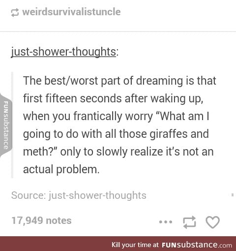 Weird dreams are the best