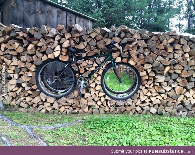 Well that's one way to stack wood