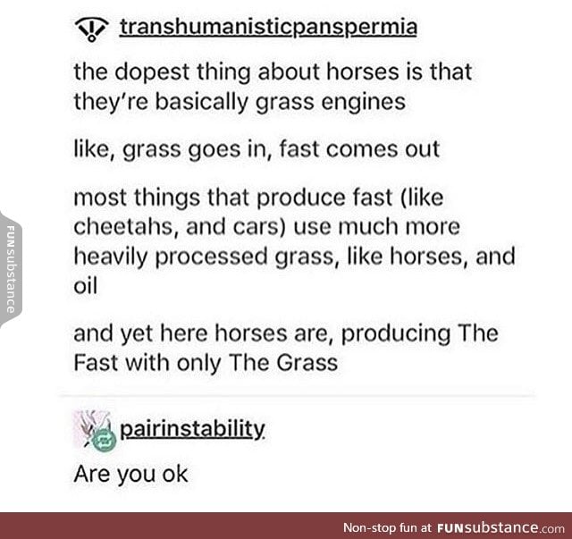 Grass give horses the fast