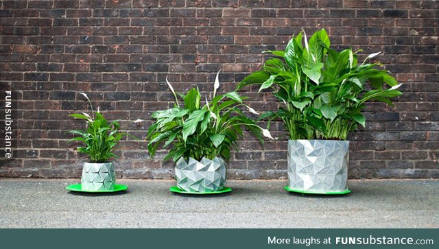 Shape-Shifting Origami Pot Grows with Plant Over Time