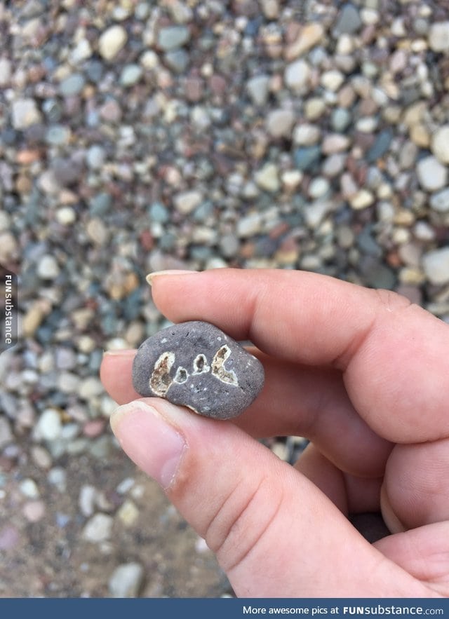 Check out this really cool rock