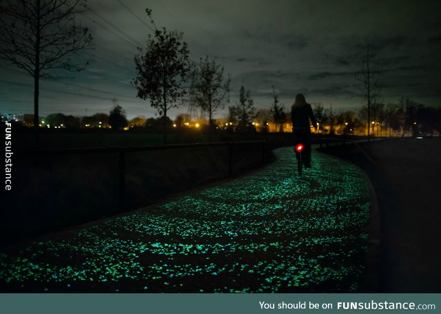 Gorgeous bicycle path in the Netherlands, based on van Gogh's ''Starry Night''