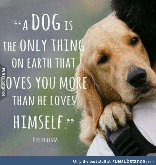 Truth about dogs