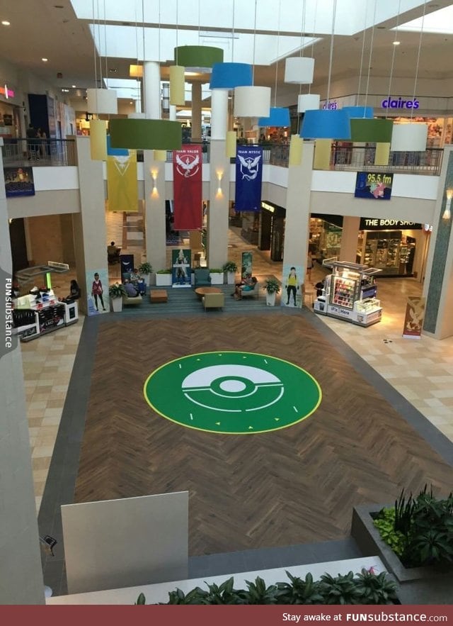 This mall is a Pokemon Gym so it turned its lobby into a Pokemon Arena