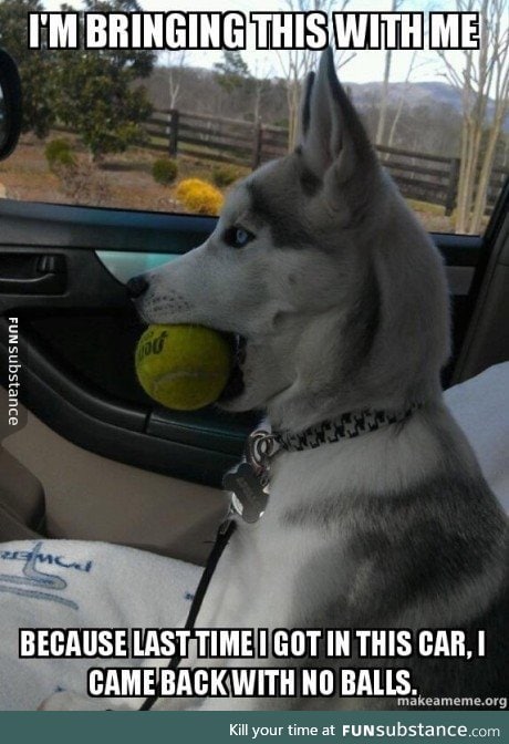 This dog has some trust issues
