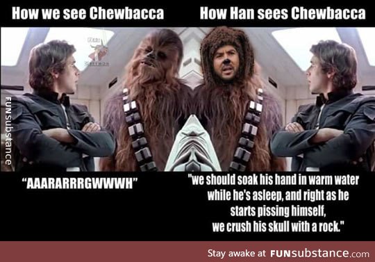 Perspectives on chewbacca