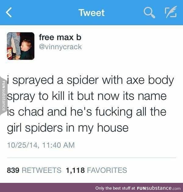 Spider Chad