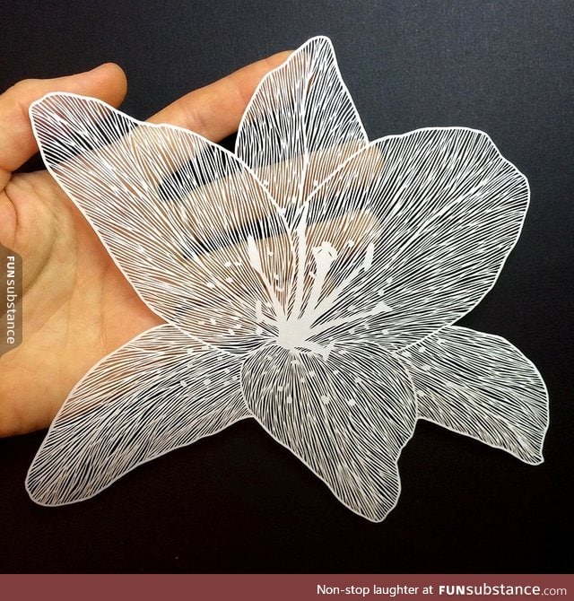 Cut from a single piece of paper