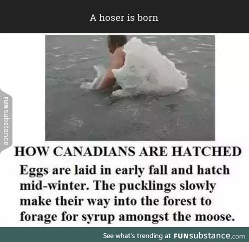 A hoser is born