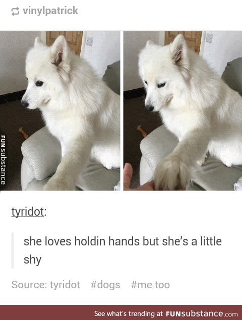 Pupper does a hold