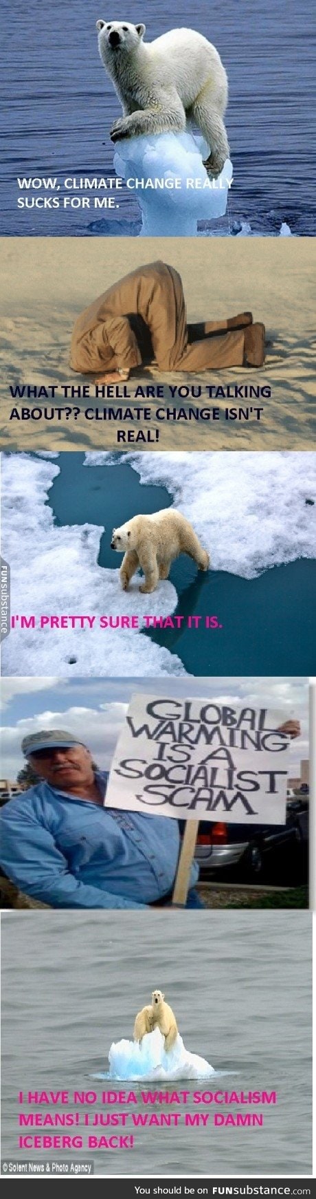 Polar bears don't know anything