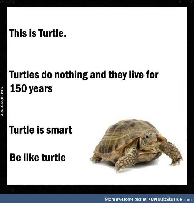 Do nothing like Turtle