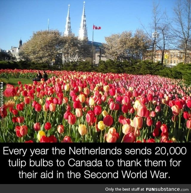 The Netherlands is grateful