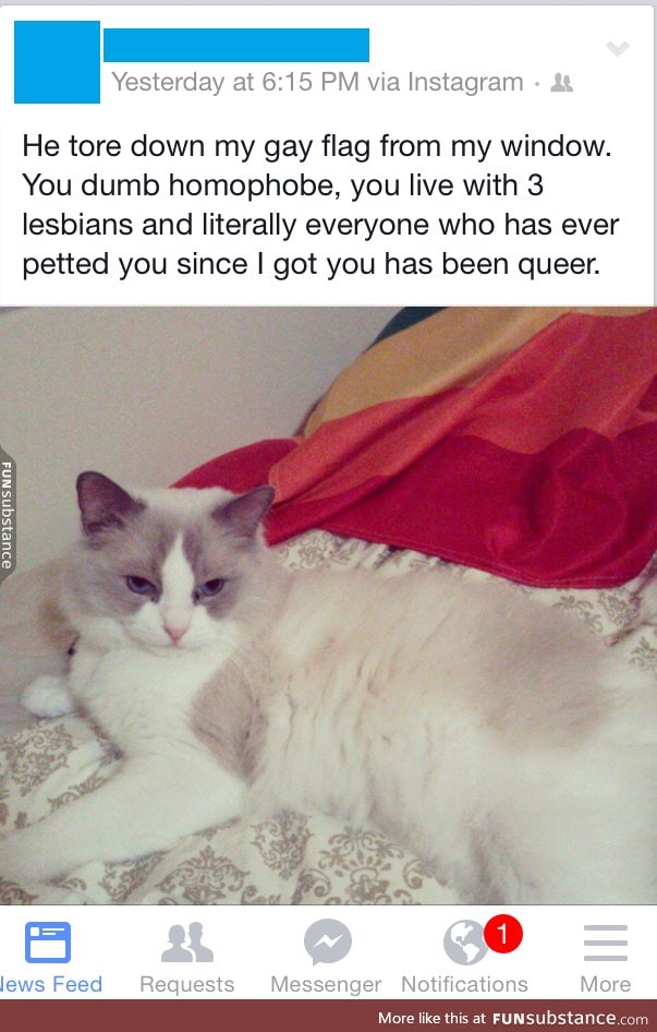 Homophobic cat is done with your shit