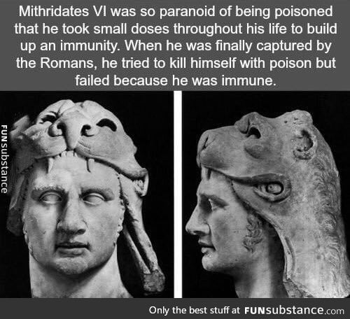 Ancient bad luck brian