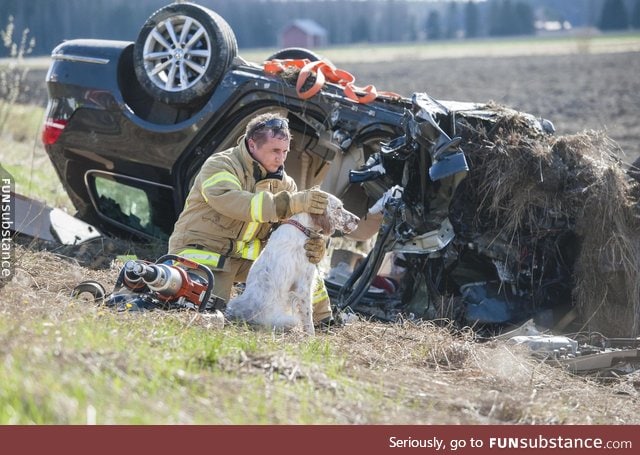 Firefighter comforting a dog that has been in a car crash