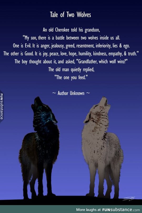 Story of two wolves