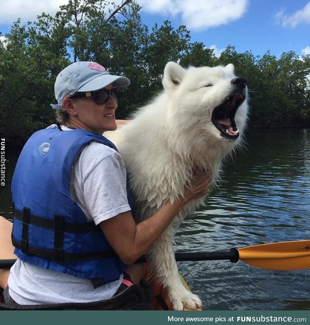 pupper doin a HECKin loud bork!