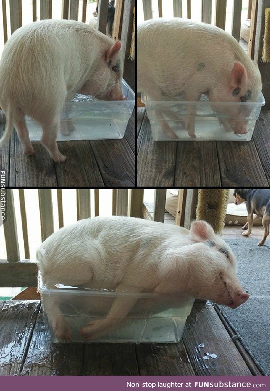 I fits, I sits: Pig version