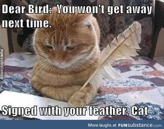 Dear birdy
