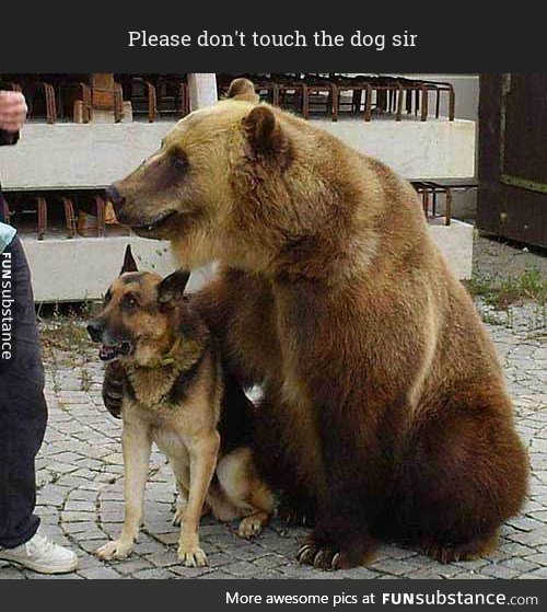 Please don't touch the dog sir